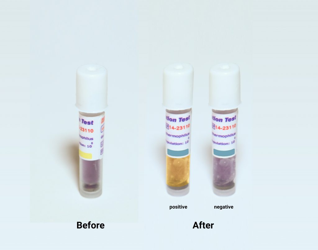 The color change of the Plasma Biological Indicator 10^6 (RRS 14-23110) before and after exposure to plasma sterilization process, in the positive and negative state